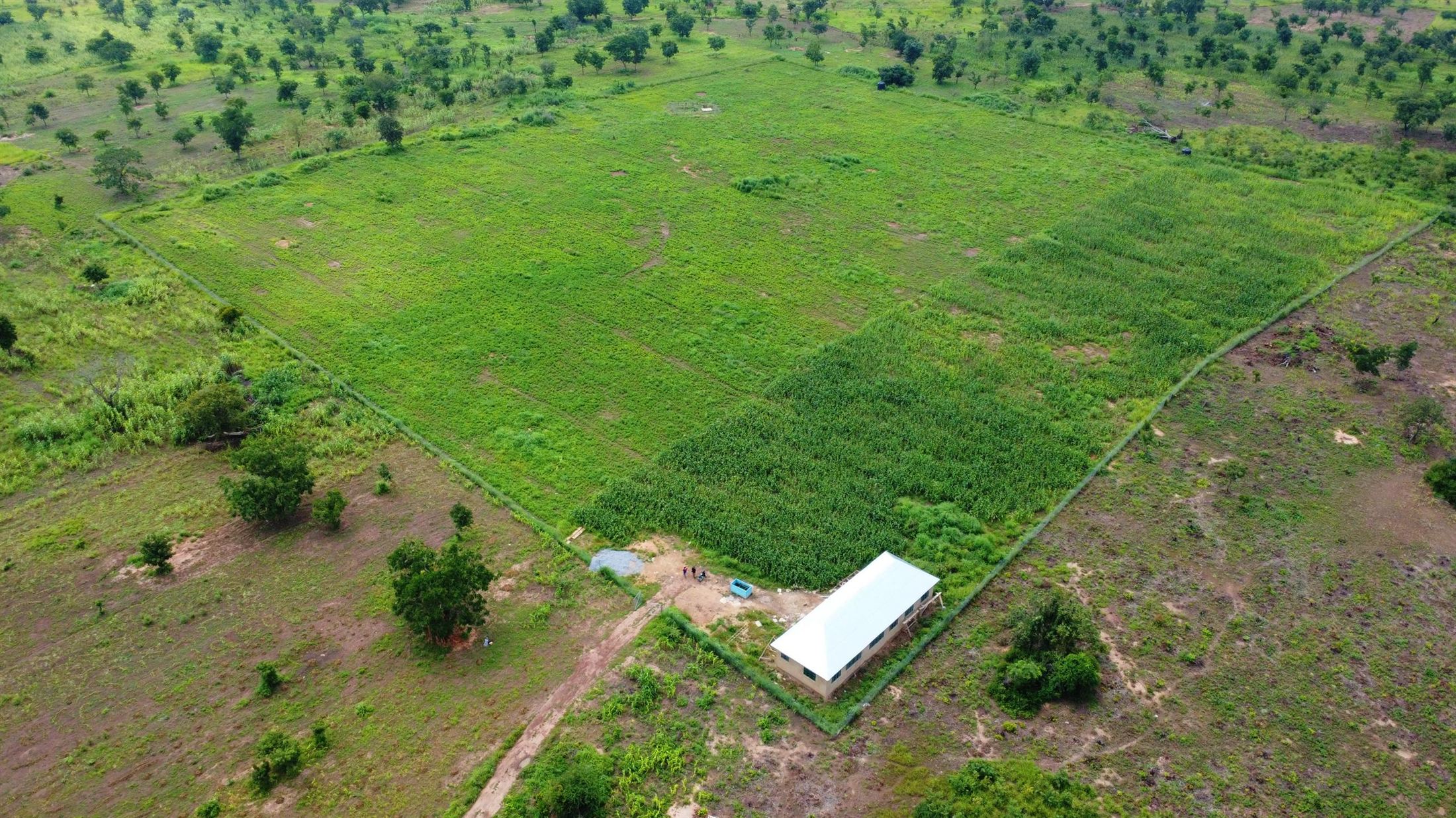 Aerial view of the fenced Influx farm with its processing building