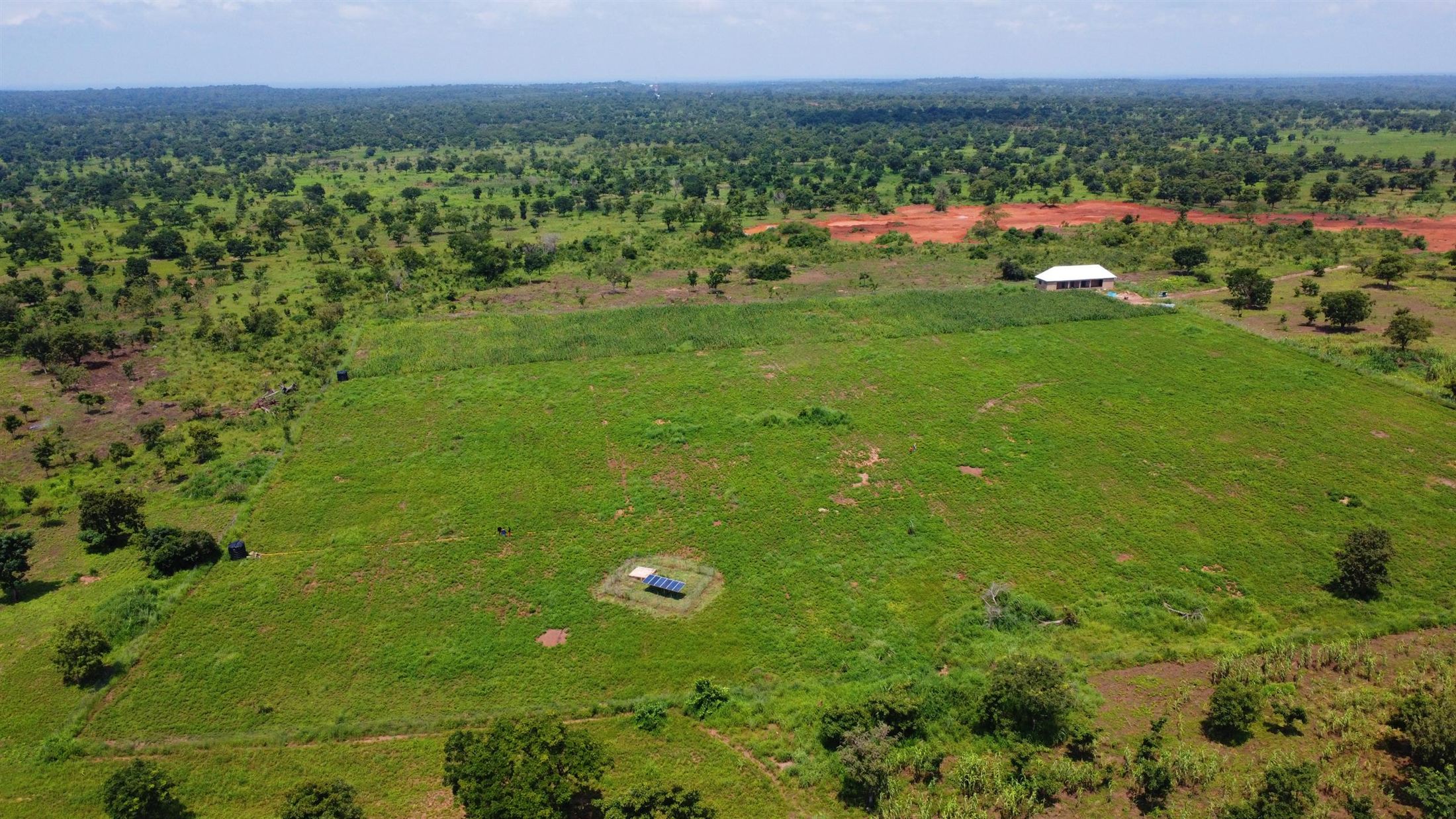 Solar panels powering the borehole in the middle of the Influx groundnut field