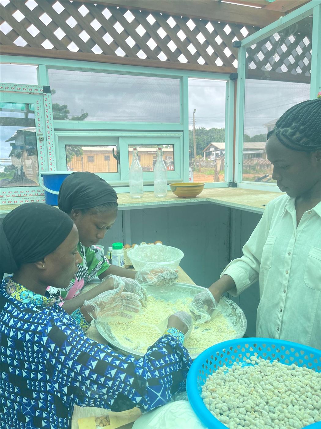 Women sorting groundnuts in bowls